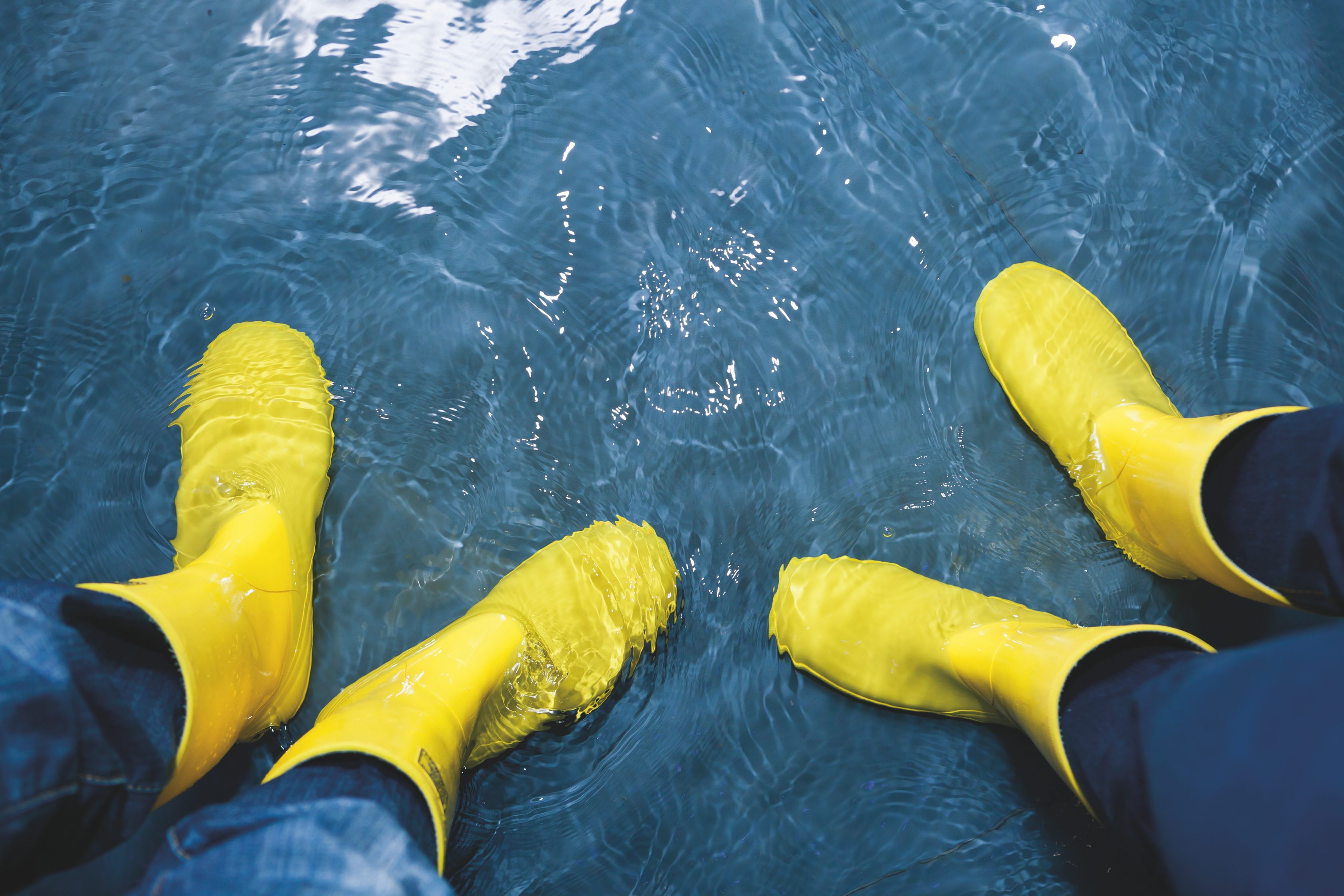 Allianz Handwerkerservice: Unsere Leistungen für die Hausrat- und Inventar­versicherung. Zwei Personen stehen mit Gummistiefel im Wasser nach einem Schaden im Haus.