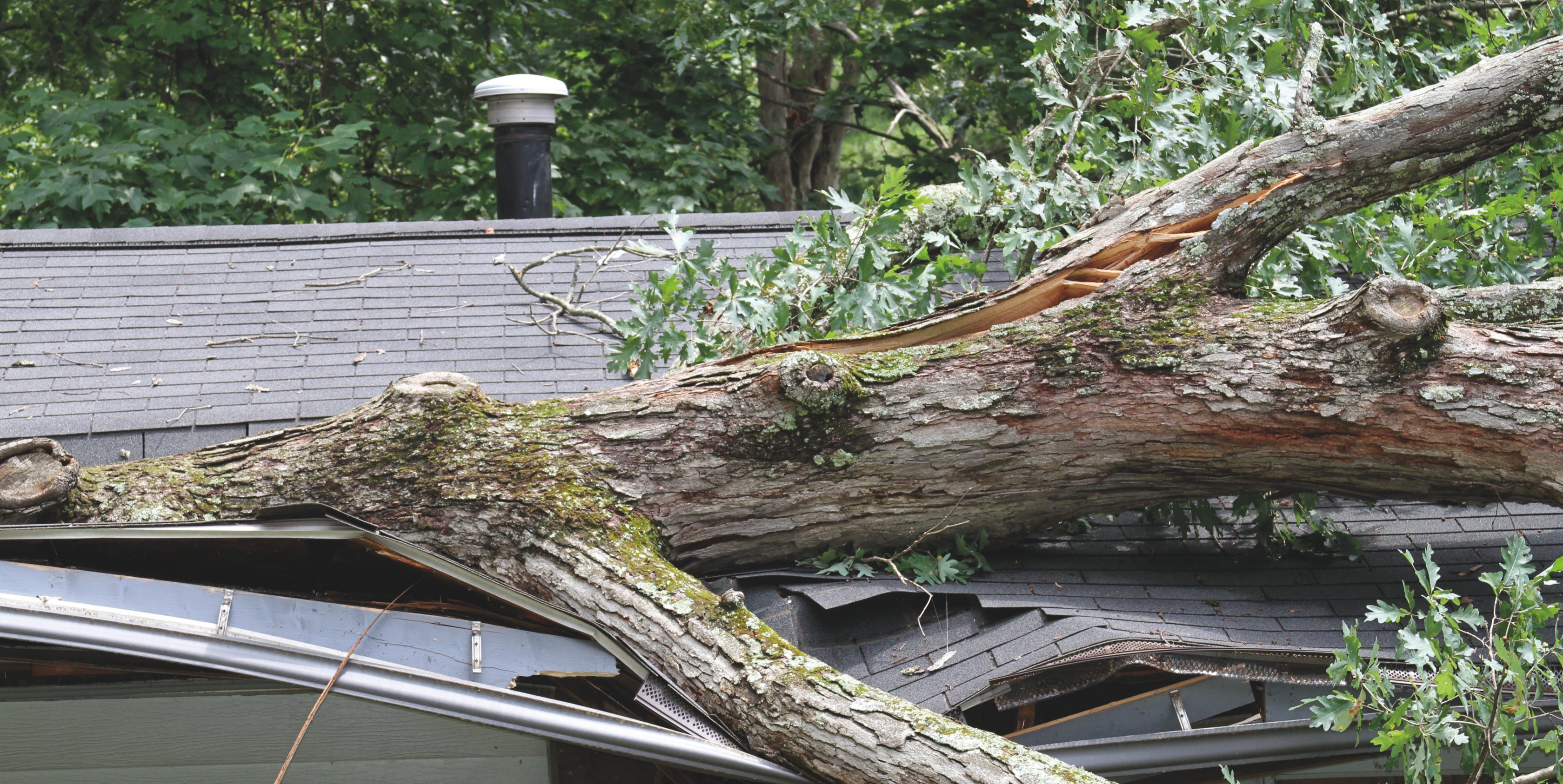 Allianz Handwerkerservice: Unsere Leistungen für die Gebäude­versicherung. Ein Baum ist auf ein Haus gefallen und hat damit einen Schaden im Dach verursacht.